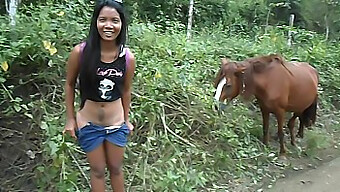 Une Ado Asiatique Éjacule Devant La Caméra Avec Une Grosse Bite De Cheval