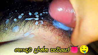 Esposa De Gran Polla Folla Coño Peludo En Video Porno De Sinhala