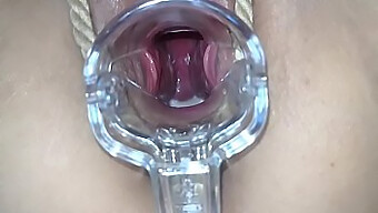 Experience The Pleasure Of A Sex Toy In Action