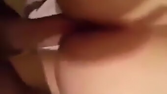 Algerian Escorts Show Off Their Big Tits In This Homemade Video