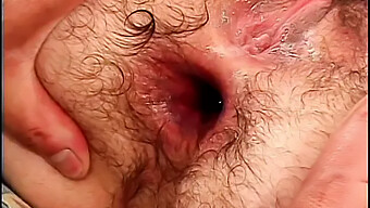 American Teen Gets Her Hairy Ass Licked And Filled With Cum