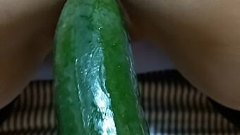 Vagina Fuck And Big Cucumber: A Delicious Combination