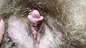 Creampie Surprise For Hairy Indian Teen